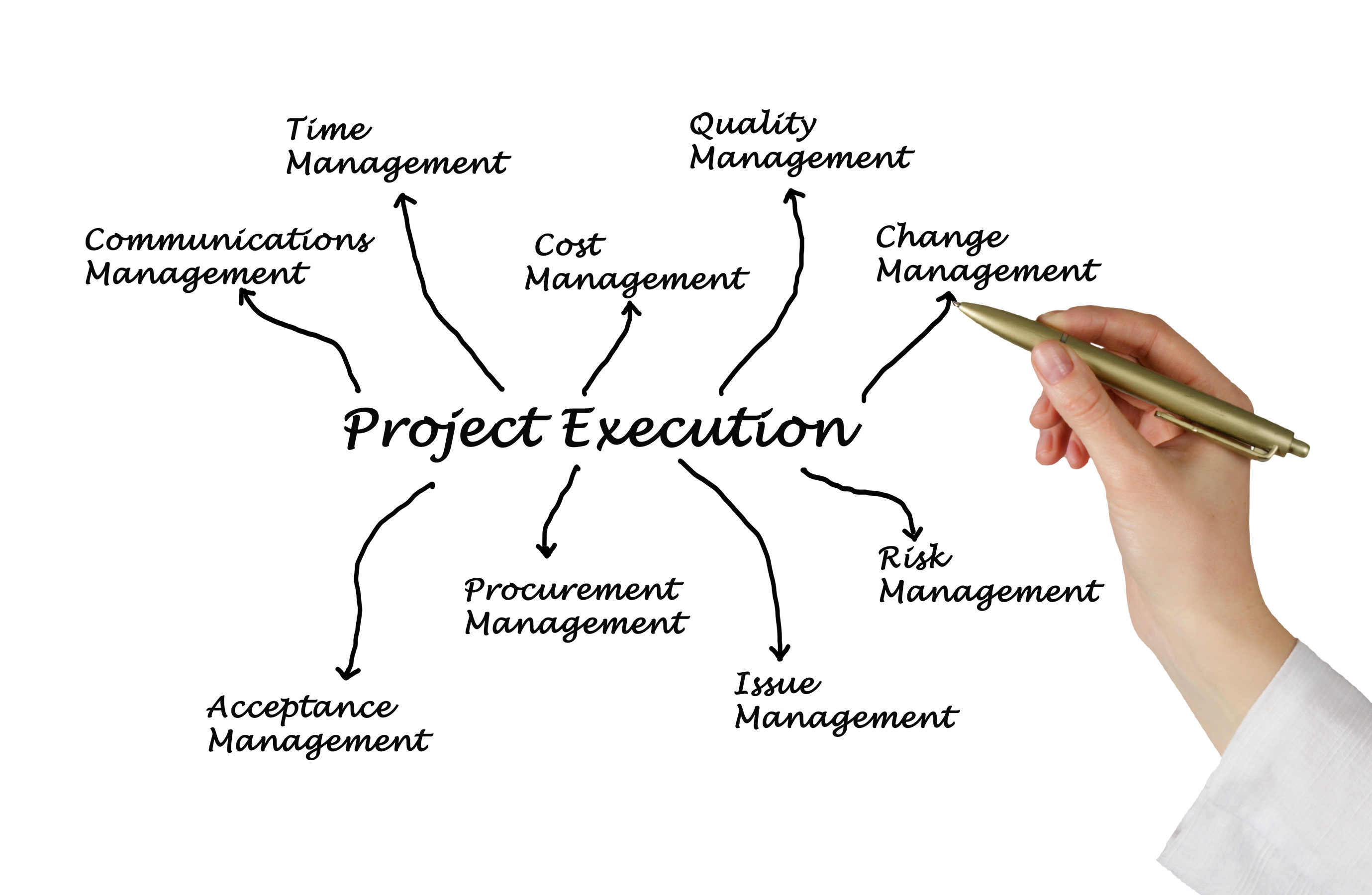 project execution