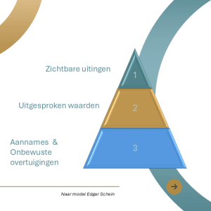 Edgar Schein model over organisatiecultuur